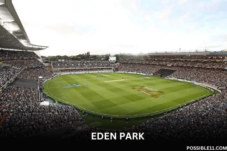 Biggest Cricket Stadiums in New Zealand in 2023