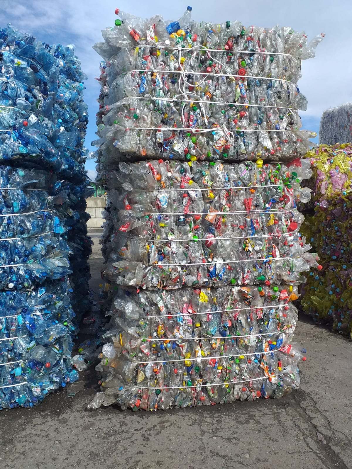 PET/PETE, Baled, clear PET bottles for sale