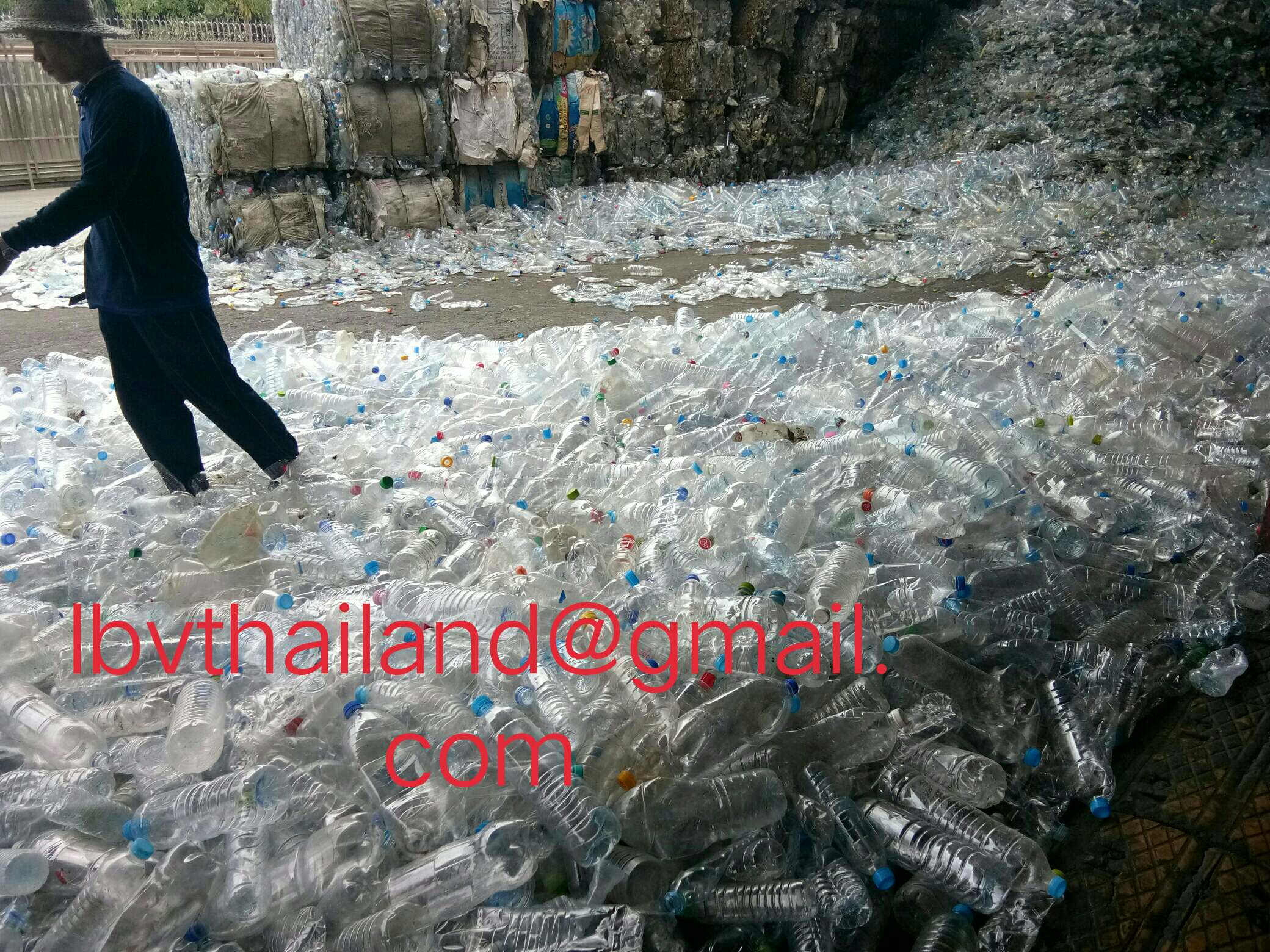 PET/PETE, Flake, PET Flake good quality from Thailand