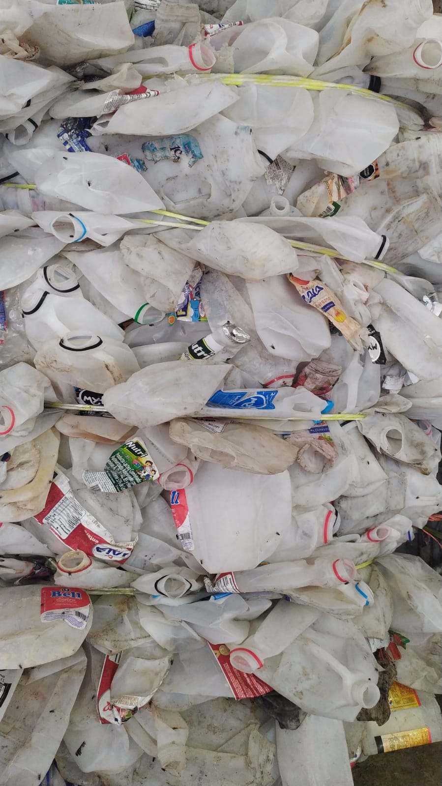 HDPE , Baled, HDPE milk jug bottles baled postconsumer