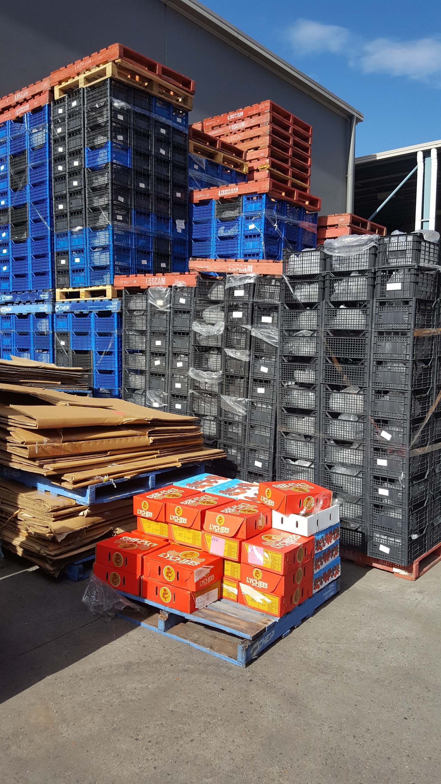 Other, not plastic, Other condition, cartons