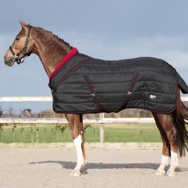 Horse Rugs Q&A