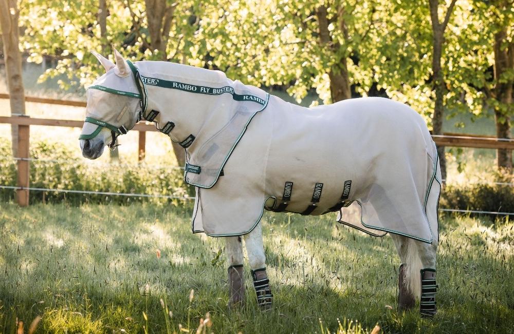 Fly Rugs & Fly Masks Horse Rugs The Equine Warehouse