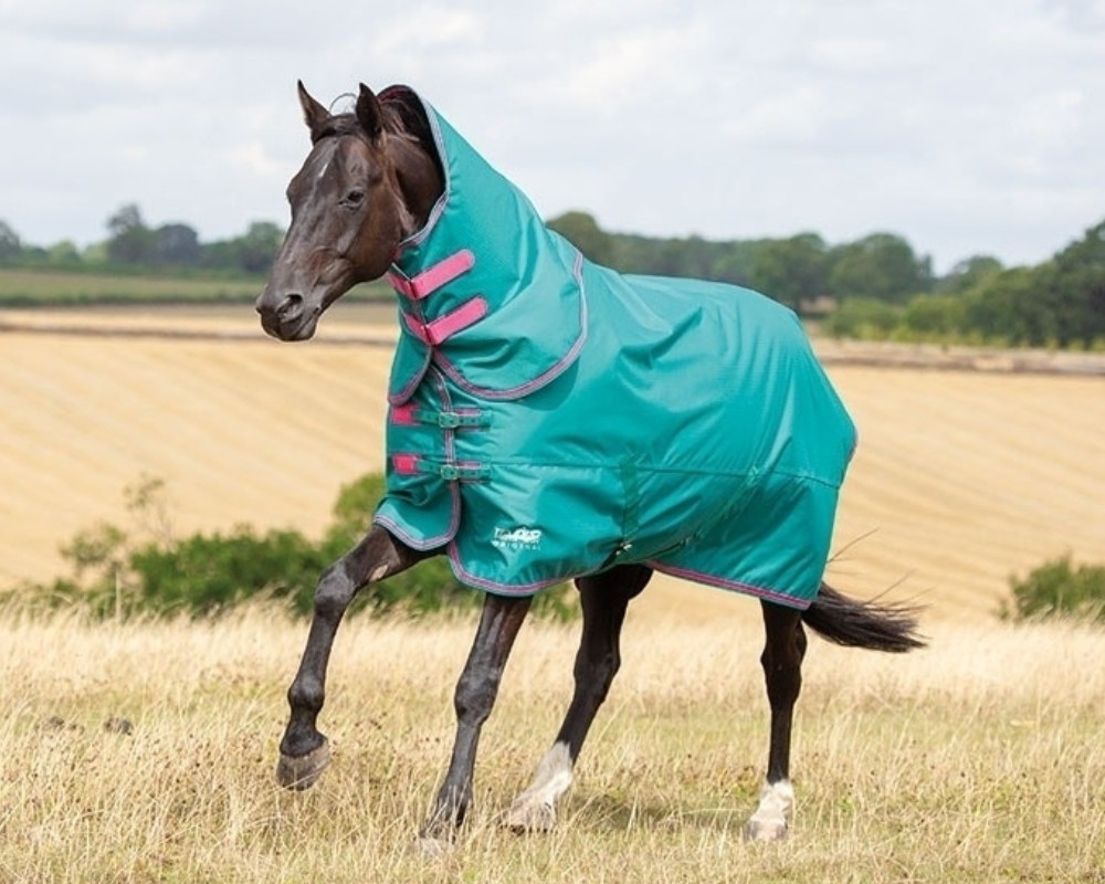 Shires Products at The Equine Warehouse Ireland