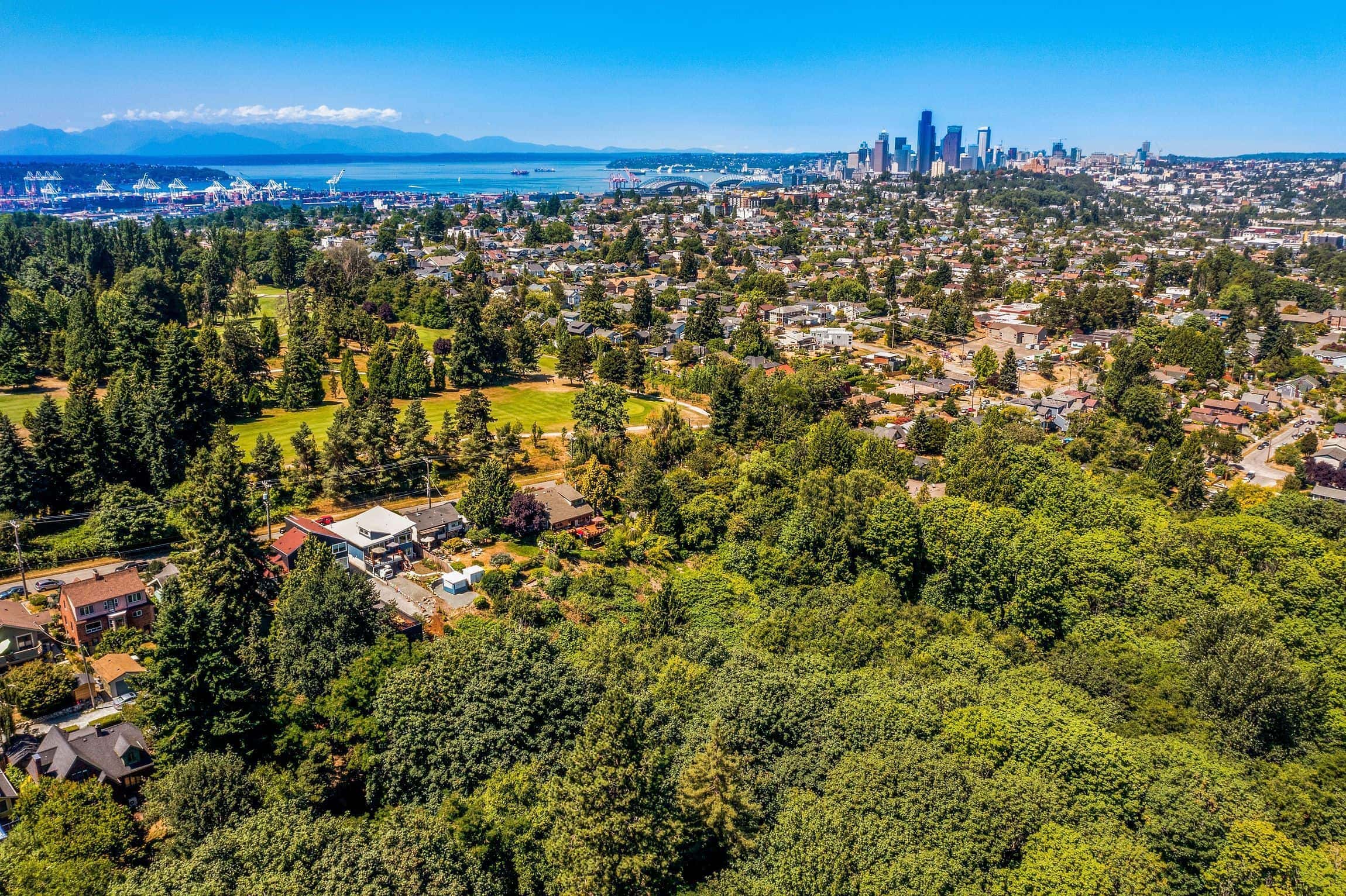 Secret Squirrel Spots in Seattle's North Beacon Hill Neighborhood Get