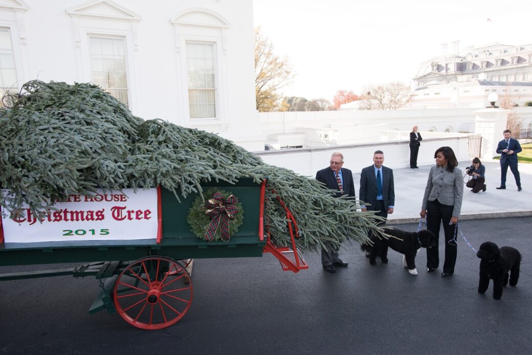 2015 White House Christmas in Pictures White House Historical Association