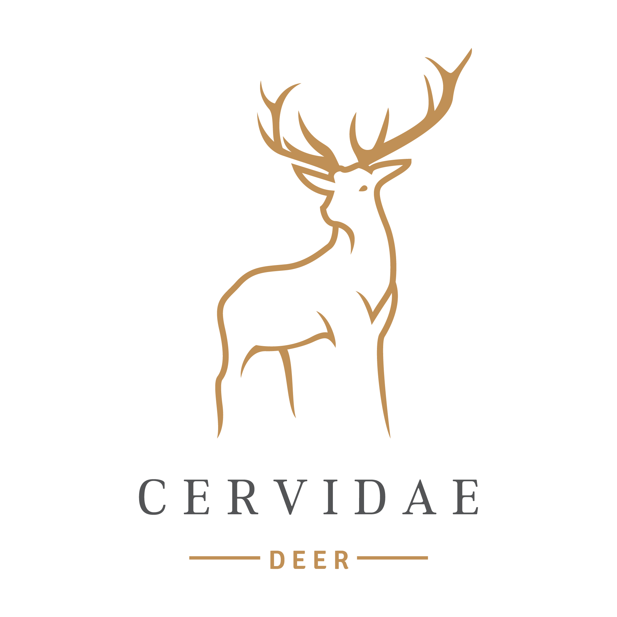 Cervidae Brands of the World™ Download vector logos and logotypes
