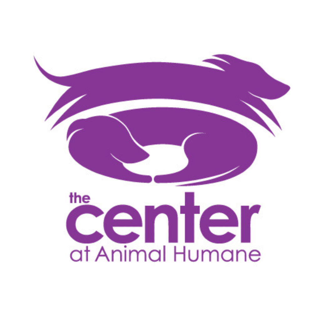 train.play.stay Liinks