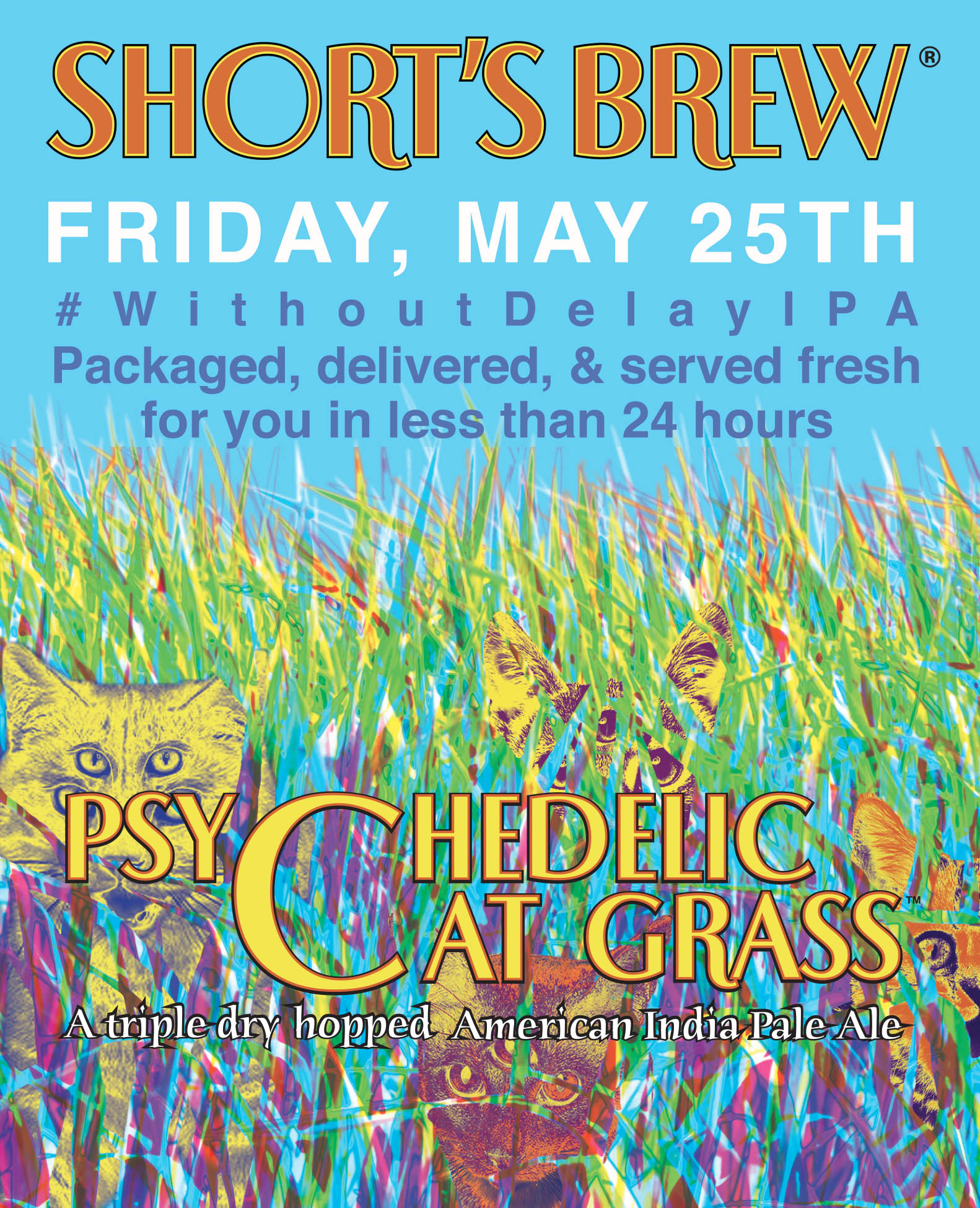 Shorts Psychedelic Cat Grass Abv