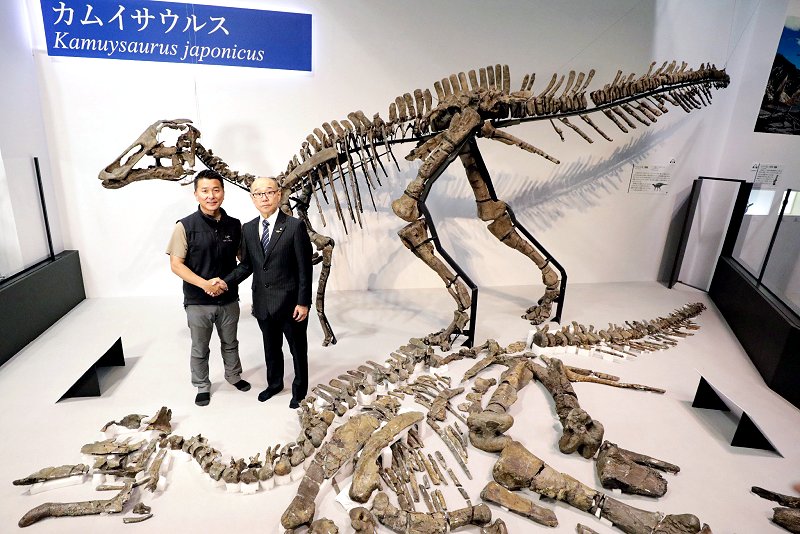 モノクローム 恐竜化石発掘モデルシリーズ マンモス 全長約30Cm プラスチック製骨格標本模型 Dmk11 | 人・動物 | ホビー 電子版】北海道で発見の恐竜化石、新種と認定 学名「カムイサウルス」に | 科学技術・大学 ニュース | 日刊工業新聞 電子版