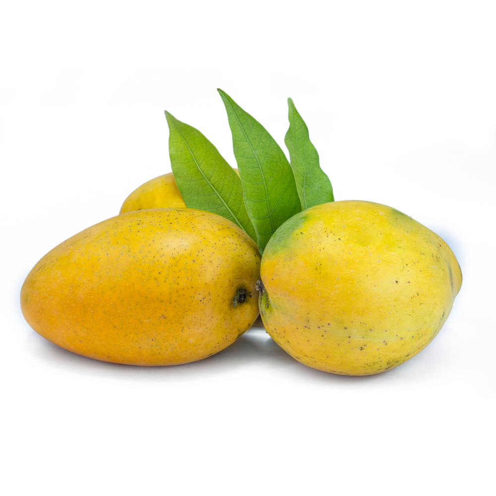 Mango Chausa Buy Mango Chausa (2 pcs) Online at Best Price in India