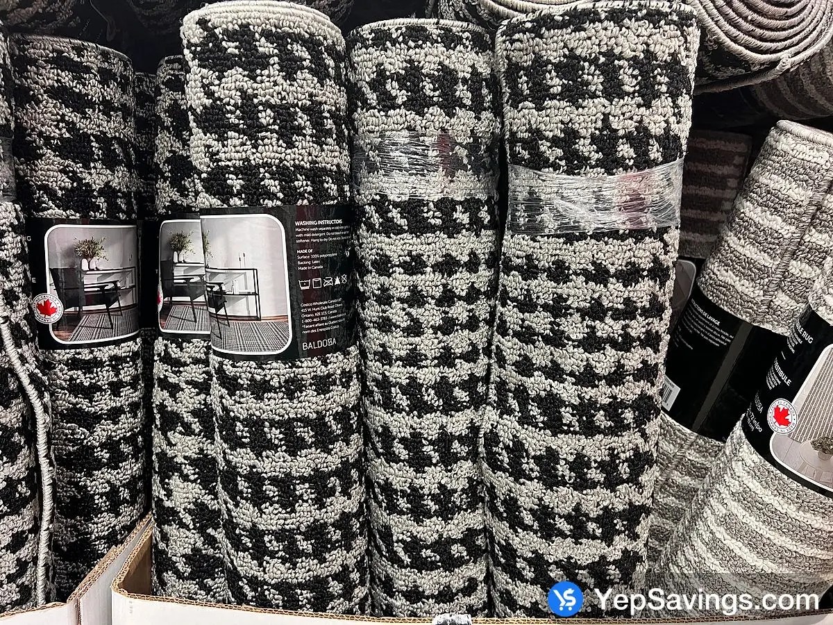 BALDOSA VESTIBULE RUG 46" X 72" at Costco South Saskatoon