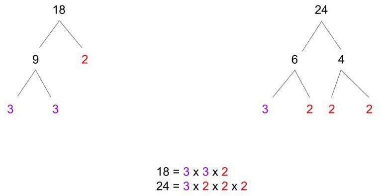 Common Denominator — Definition & Examples - Expii
