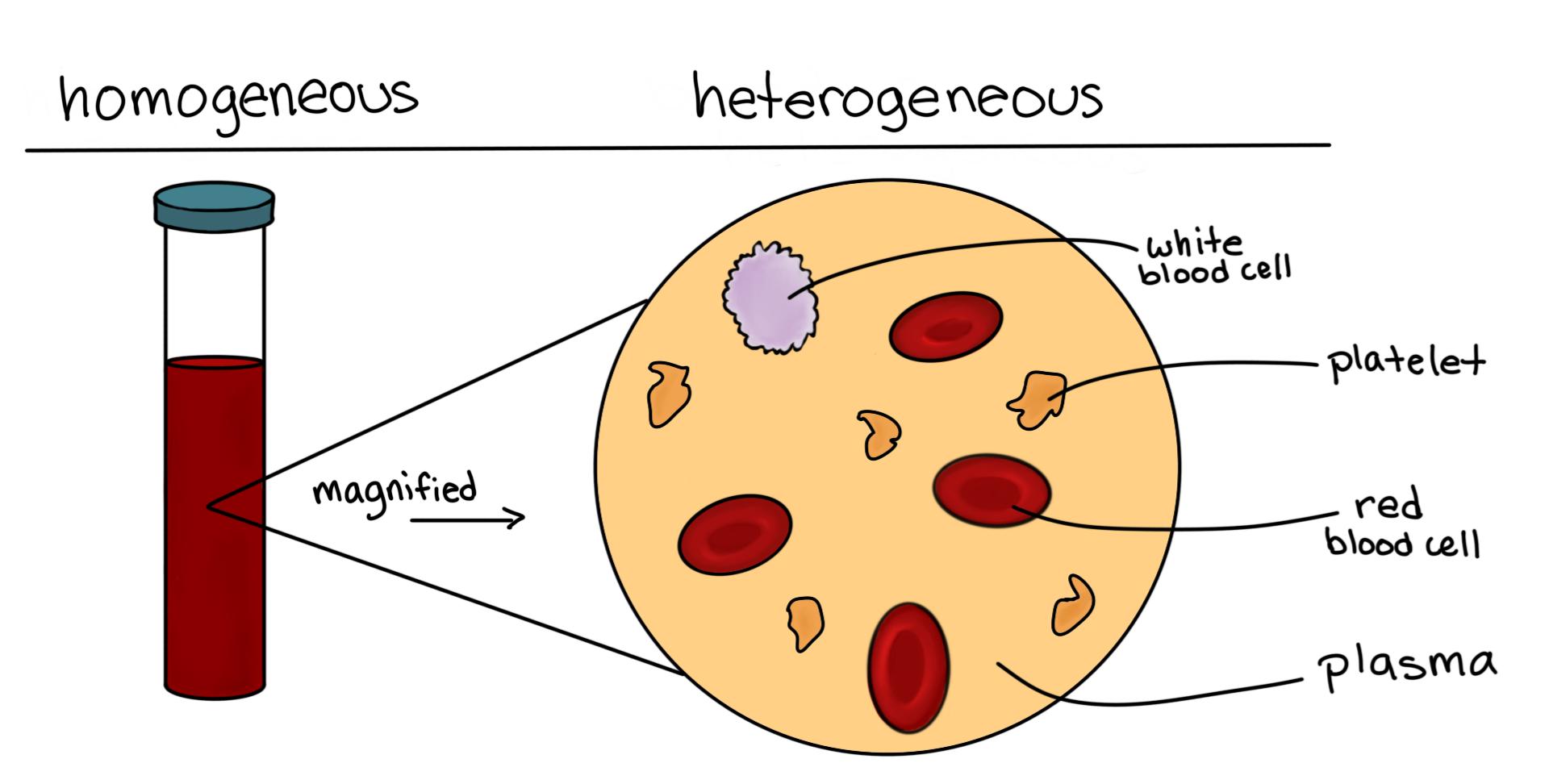 Biology Homogeneous vs. Heterogeneous Mixtures Expii