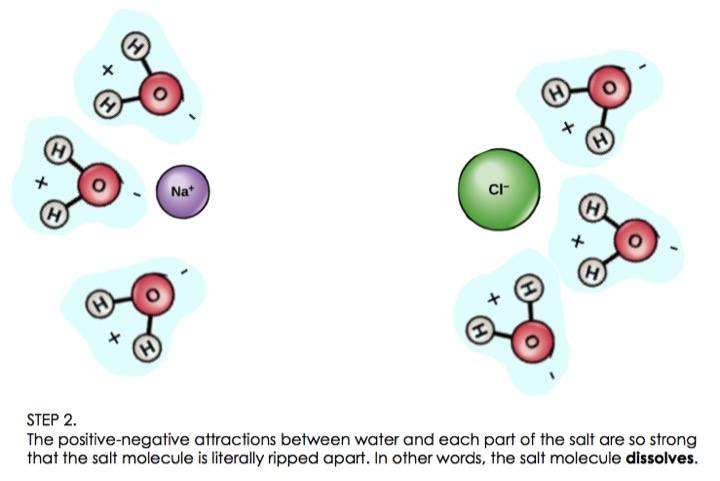 Good Solvent (Water) — Properties & Examples Expii