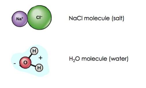 Good Solvent (Water) — Properties & Examples Expii