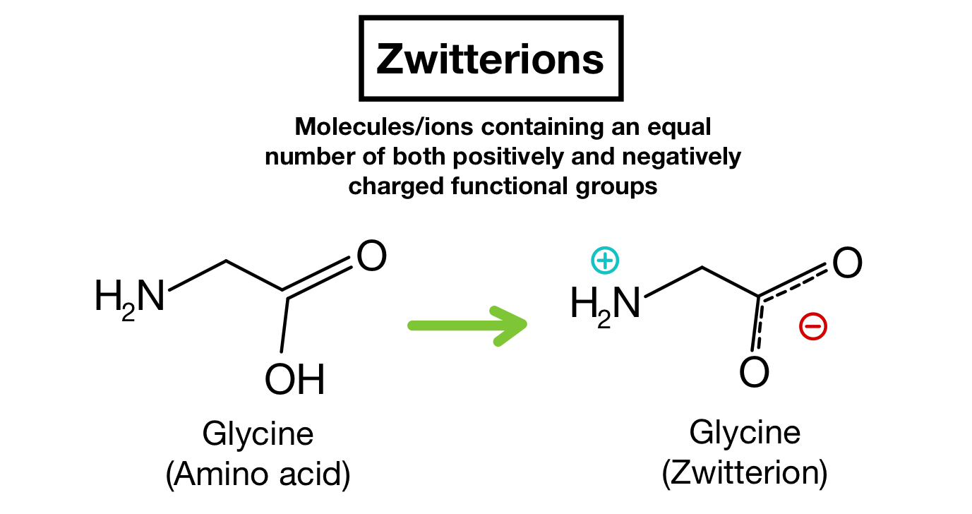 Zwitterions — Definition & Importance Expii