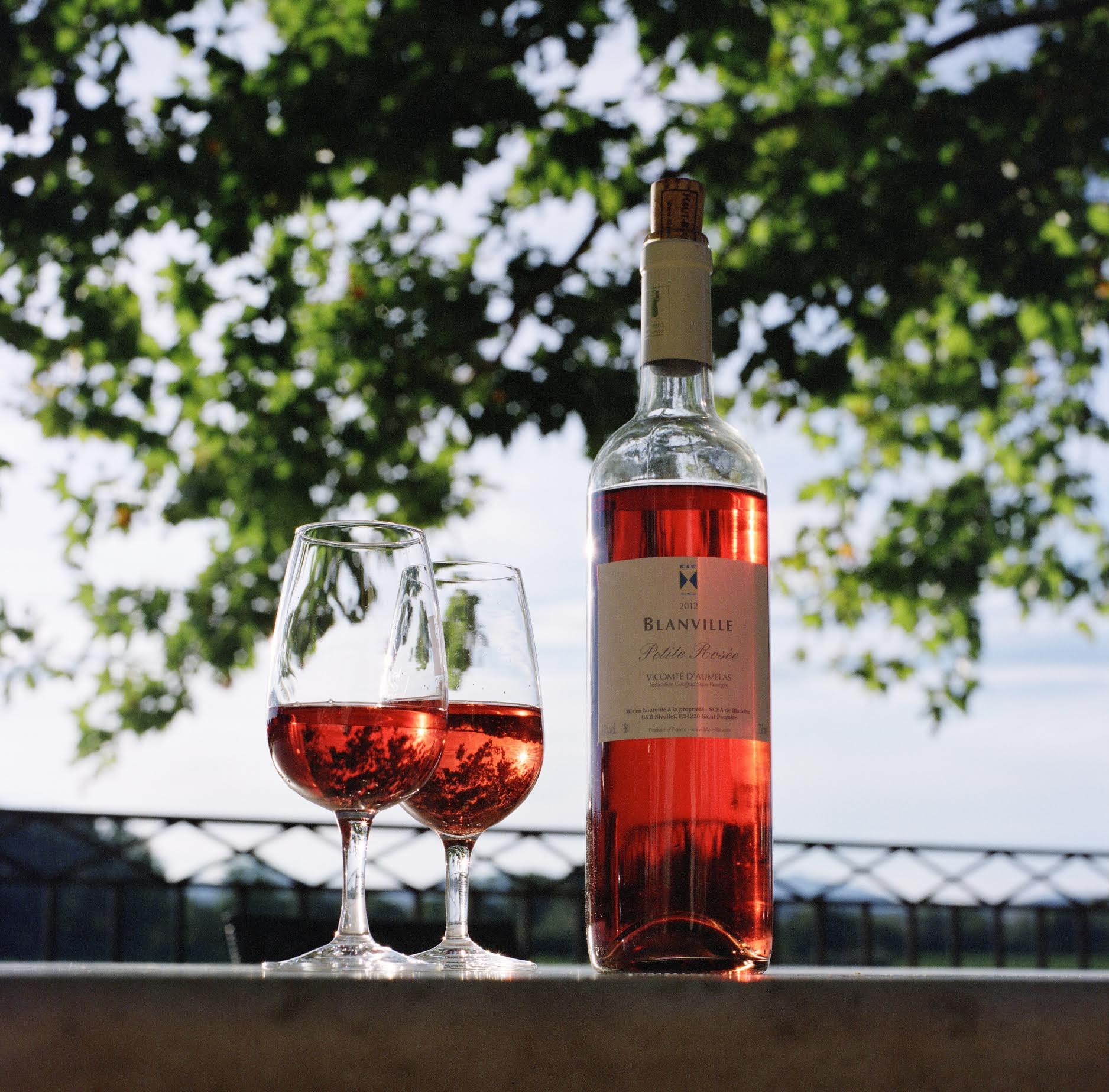 A Wine Domain in South France ideal for all kinds of occasions!