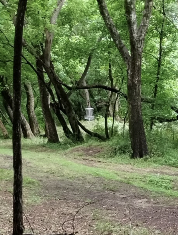 Newton County Disc Golf Club Doubledale Dubs Porterdale, GA UDisc