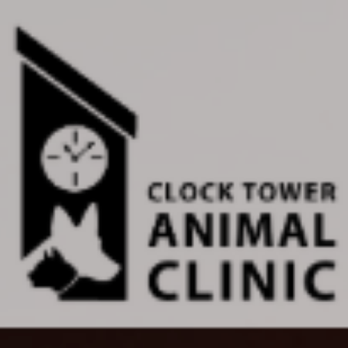 Veterinarians in Lincoln, Nebraska, Nebraska Last updated December