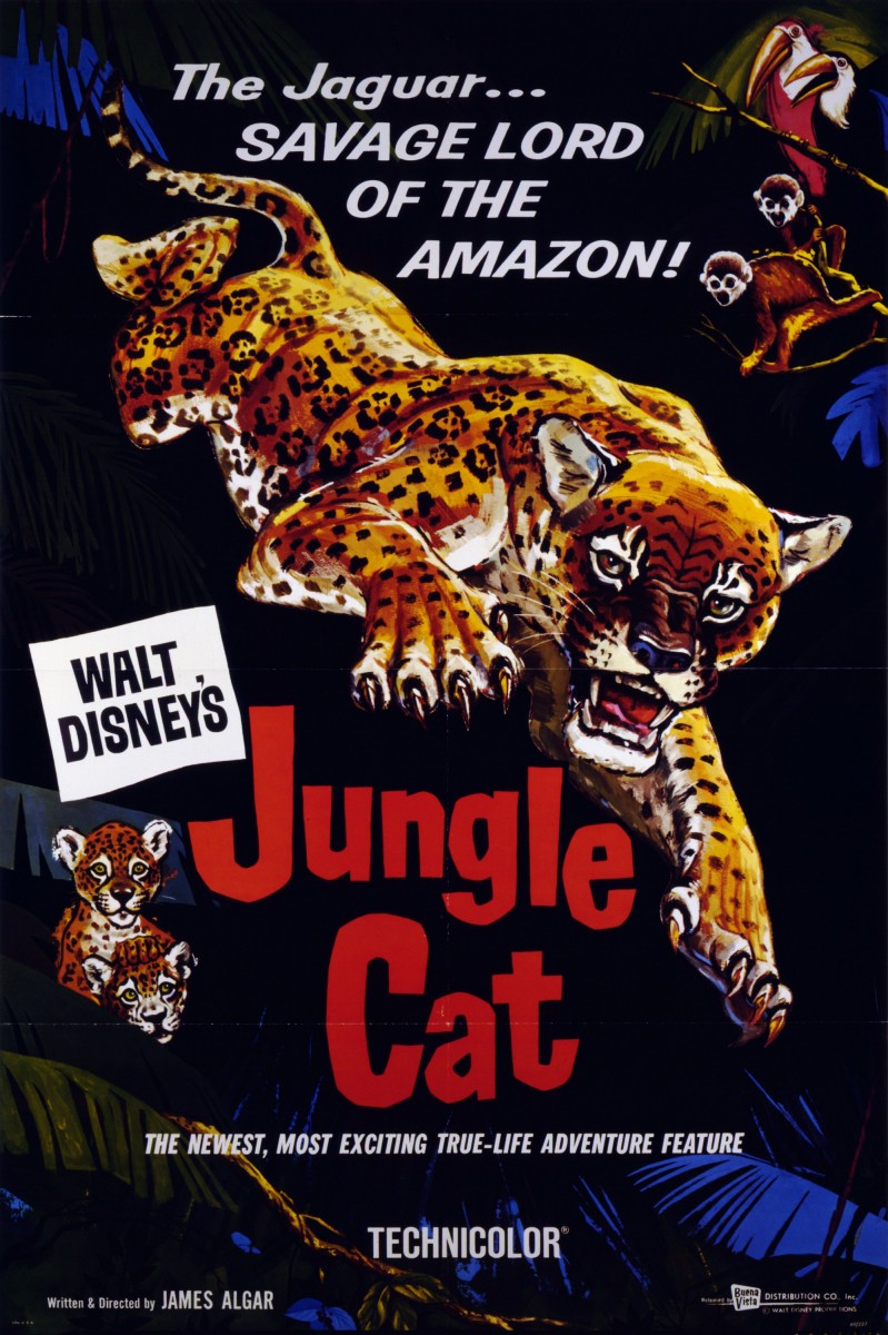 Jungle Cat (film) D23