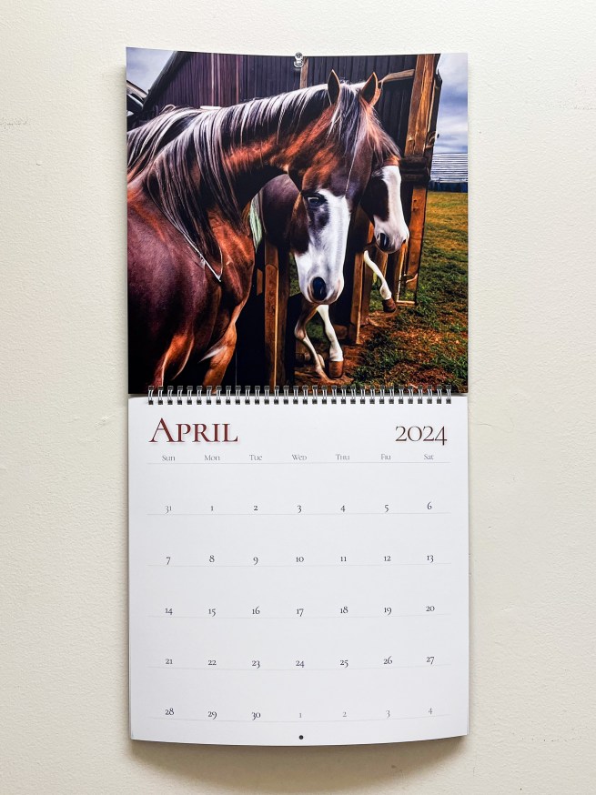 oddhorse oddhorse 2024 calendar Printed Matter