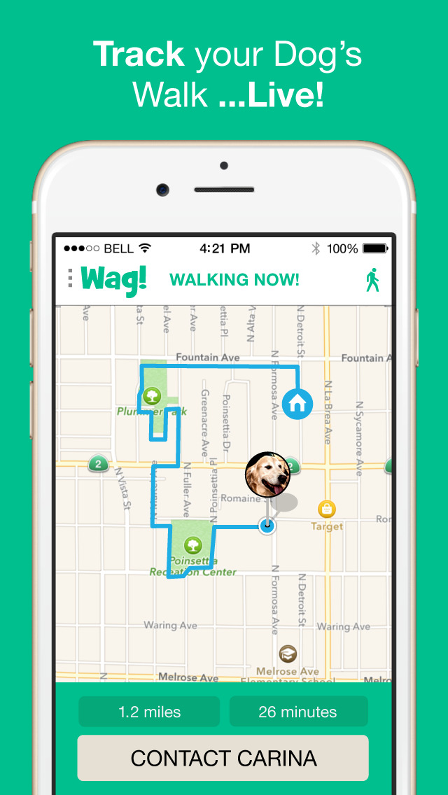 Free files download Download wag walker app