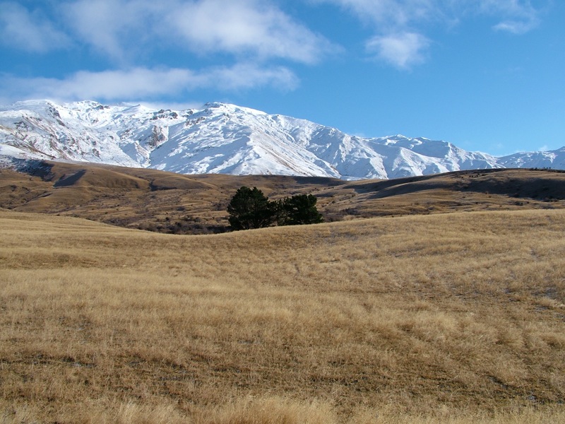 Property Sold , Queenstown,