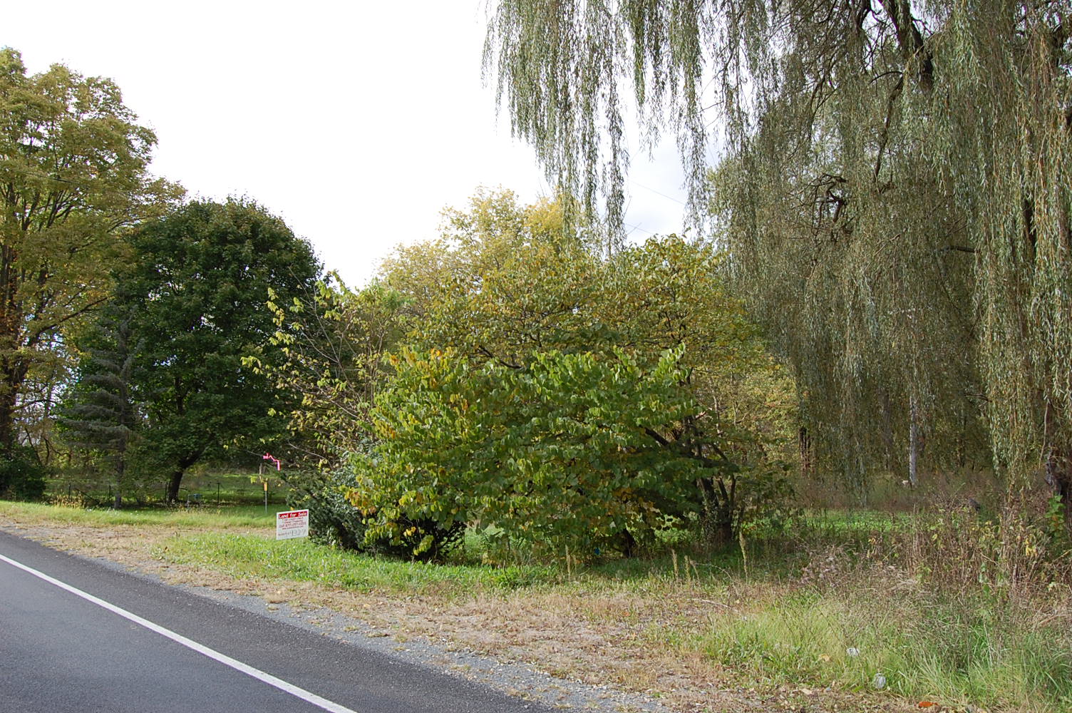 Property Near the Kalamazoo River LandCentral