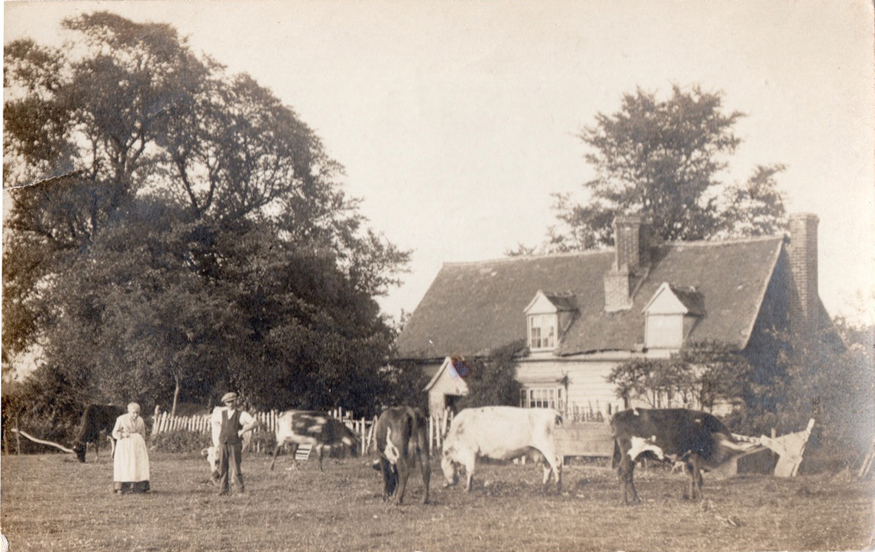 South Green Scenes South Green, Photo Galleries Billericay