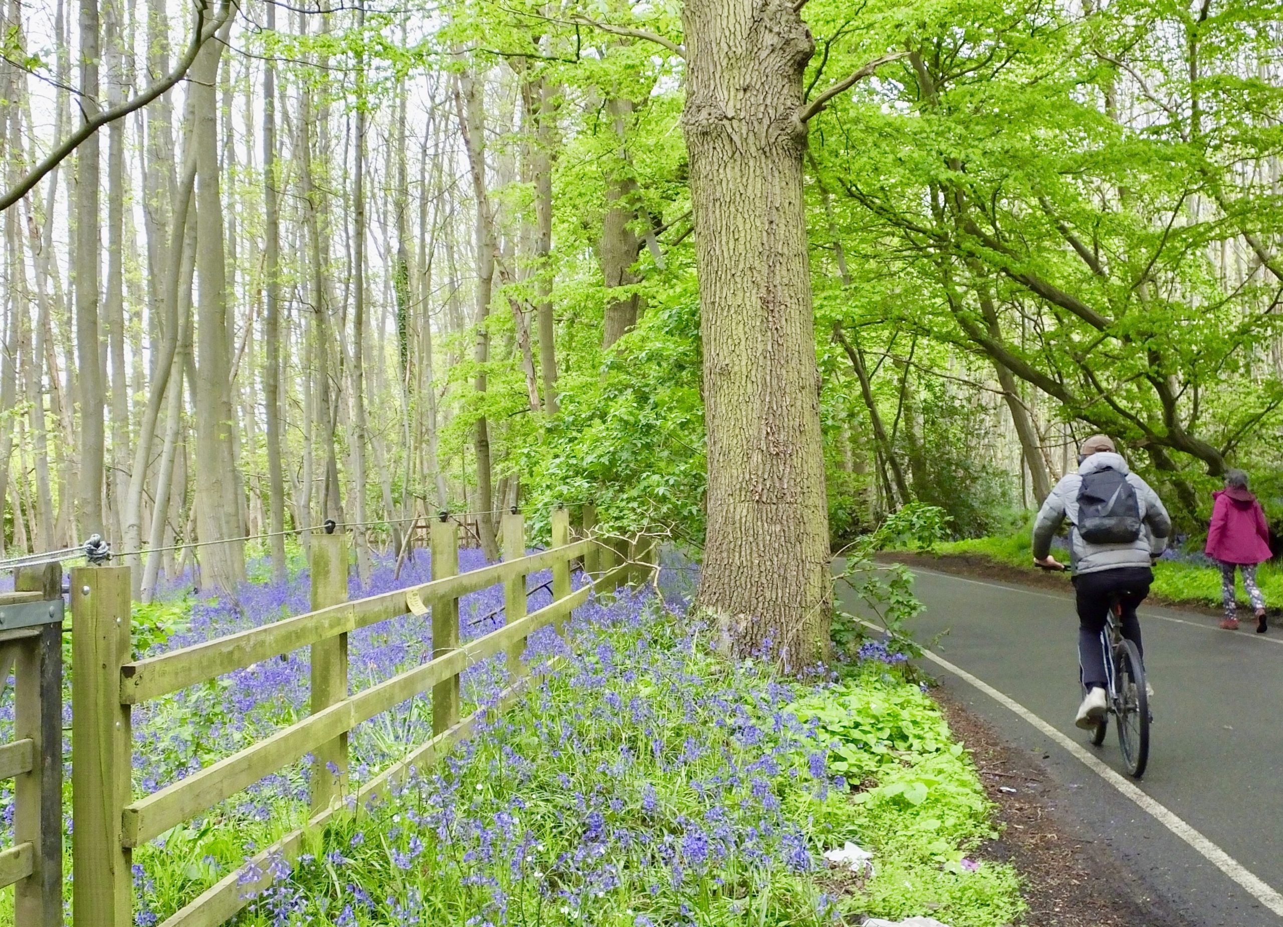 Goatsmoor Lane Streets & Roads Billericay Community Archive