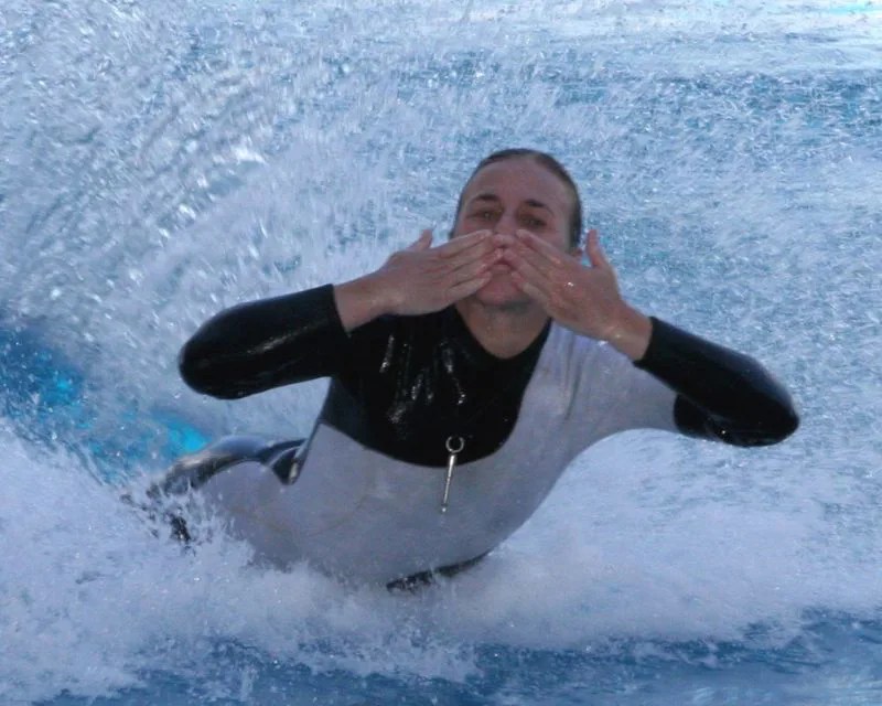 The Heartbreaking Story Of Tilikum And Dawn Brancheau’s Fatal Encounter(04)