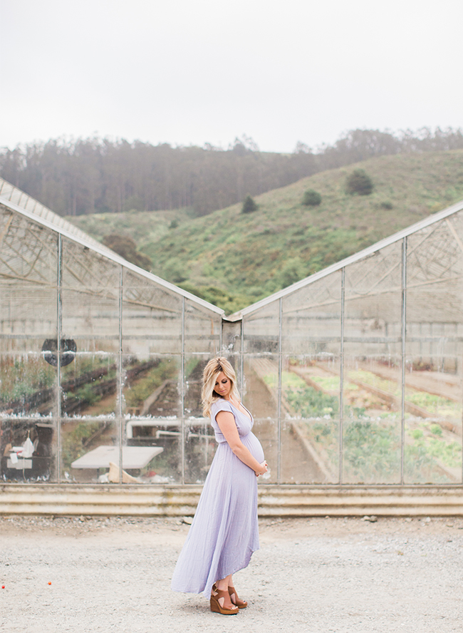 A Florist's Flower Farm Maternity Photos Inspired By This