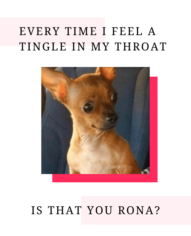Is That You Rona Meme Chihuahua pregnancy test