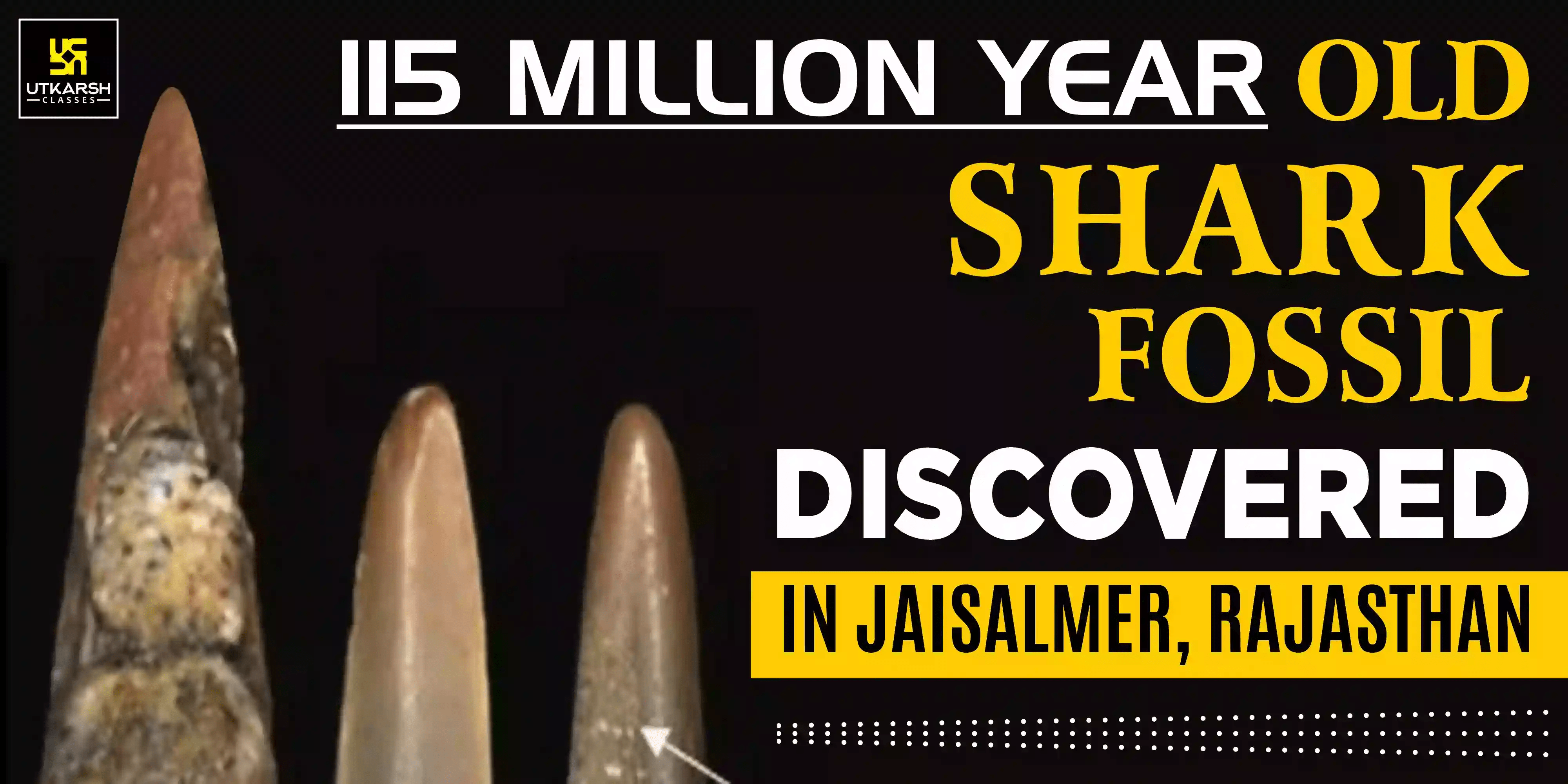 115MillionYearOld Shark Fossil Found in Jaisalmer