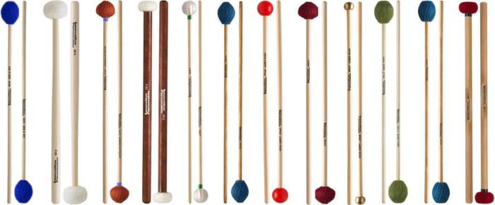 Steve Weiss Percussion The Heartbeat Of Rhythm
