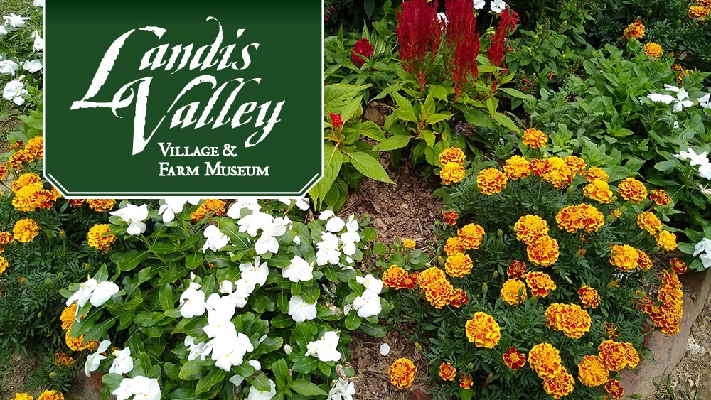 Landis Valley Associates Herb & Garden Faire Buy one ticket, Get one free