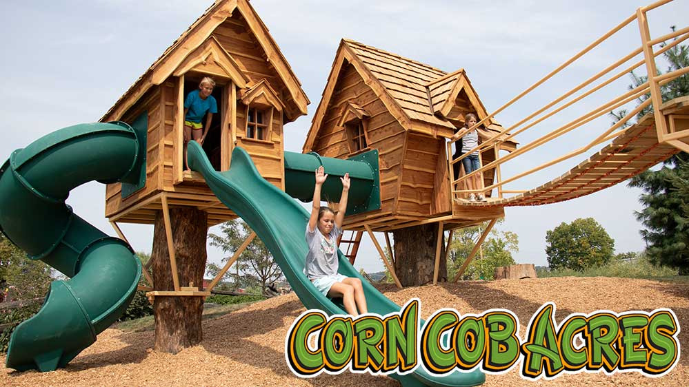 Corn Cob Acres 50 Off Fall Family Activities
