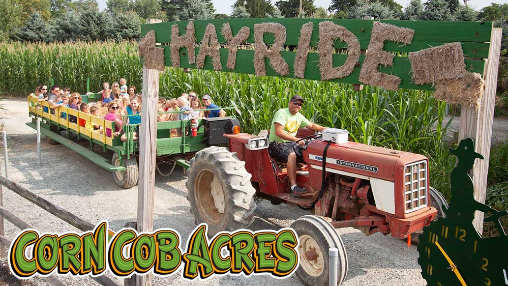 Corn Cob Acres 50 Off Fall Family Activities