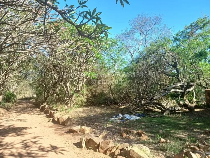 Land for Sale in Christon Bank, Christon Bank Propertybook