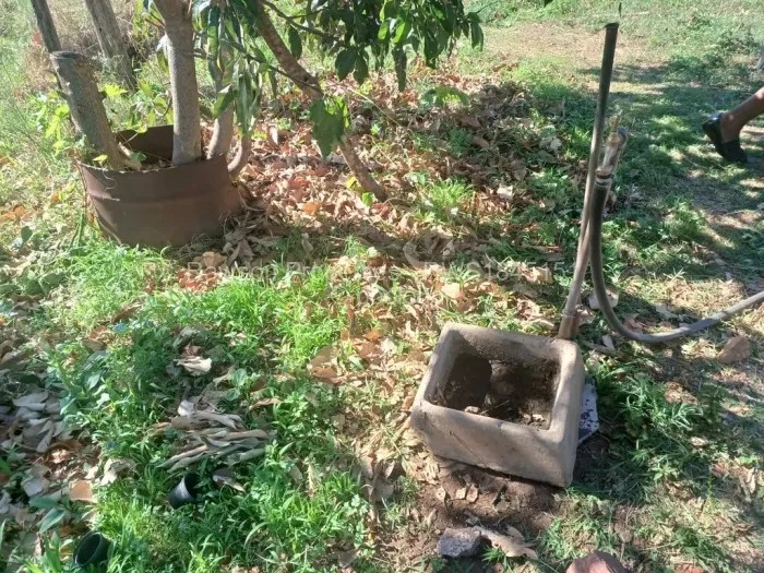 Land for Sale in Christon Bank, Christon Bank Propertybook