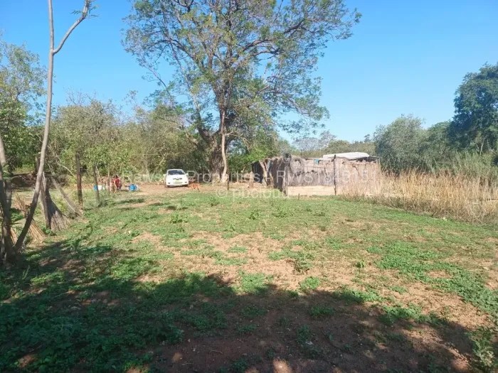 Land for Sale in Christon Bank, Christon Bank Propertybook
