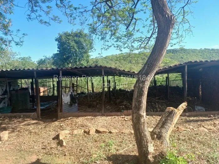 Land for Sale in Christon Bank, Christon Bank Propertybook