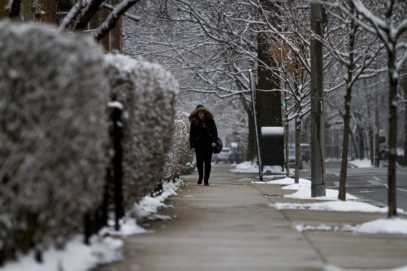 Winter Weather Forecast What To Expect Around Boston WBUR News