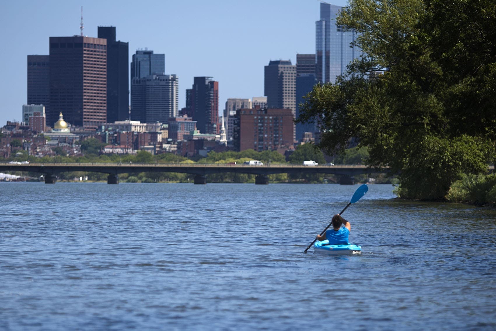 Charles River Report Card Drops From A To B. What Happened To Water