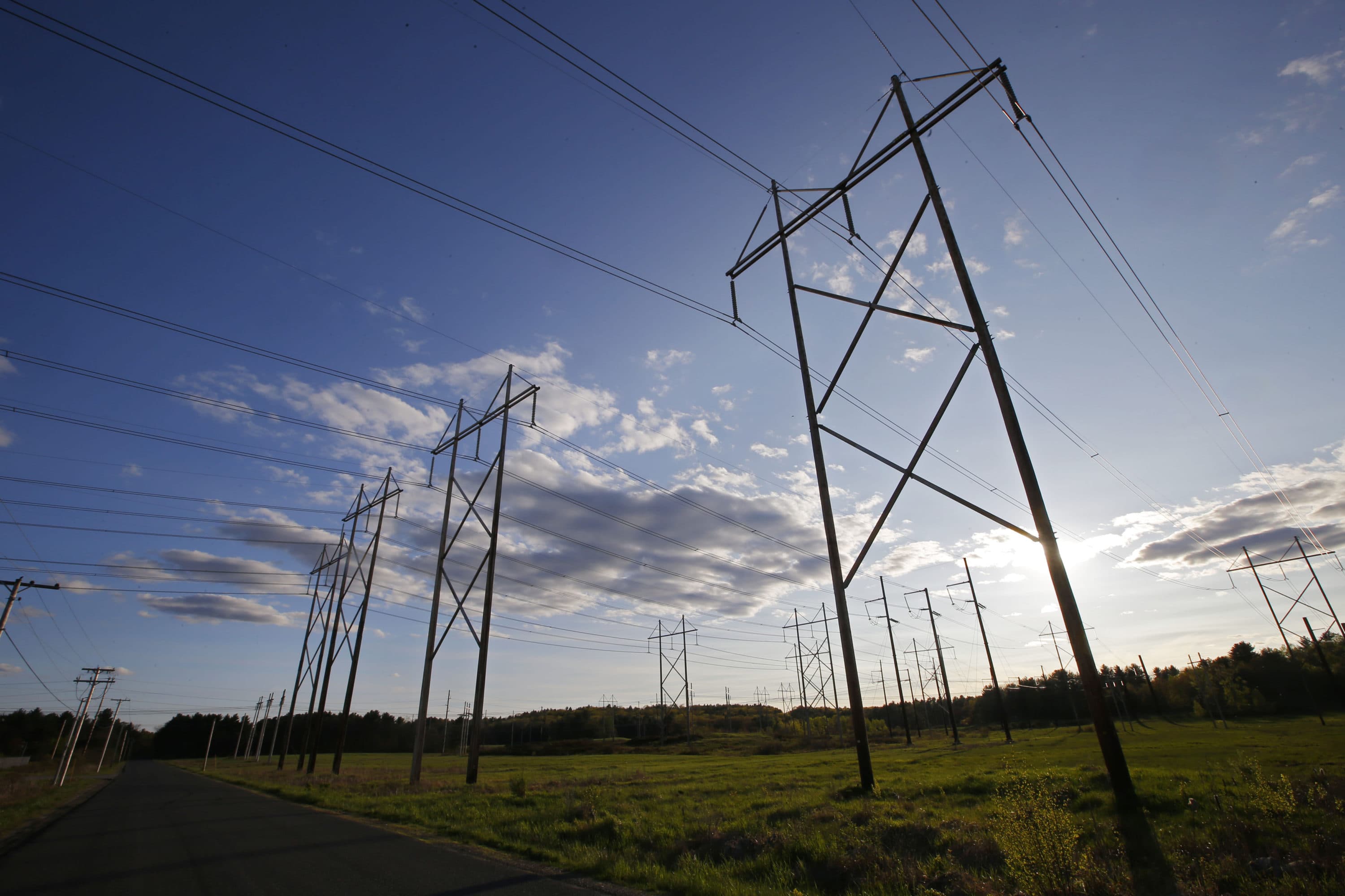 Federal Judge Halts Work On Hydropower Project With Temporary