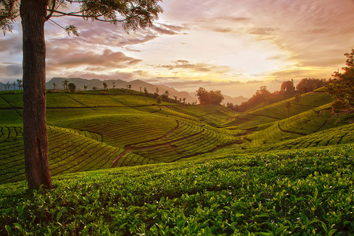 10 Magnificent Honeymoon Places In Tamil Nadu