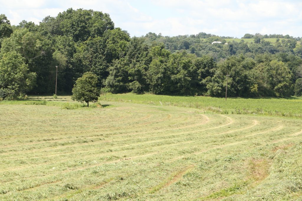 When is the right time to reseed your hayfield? Farm and Dairy