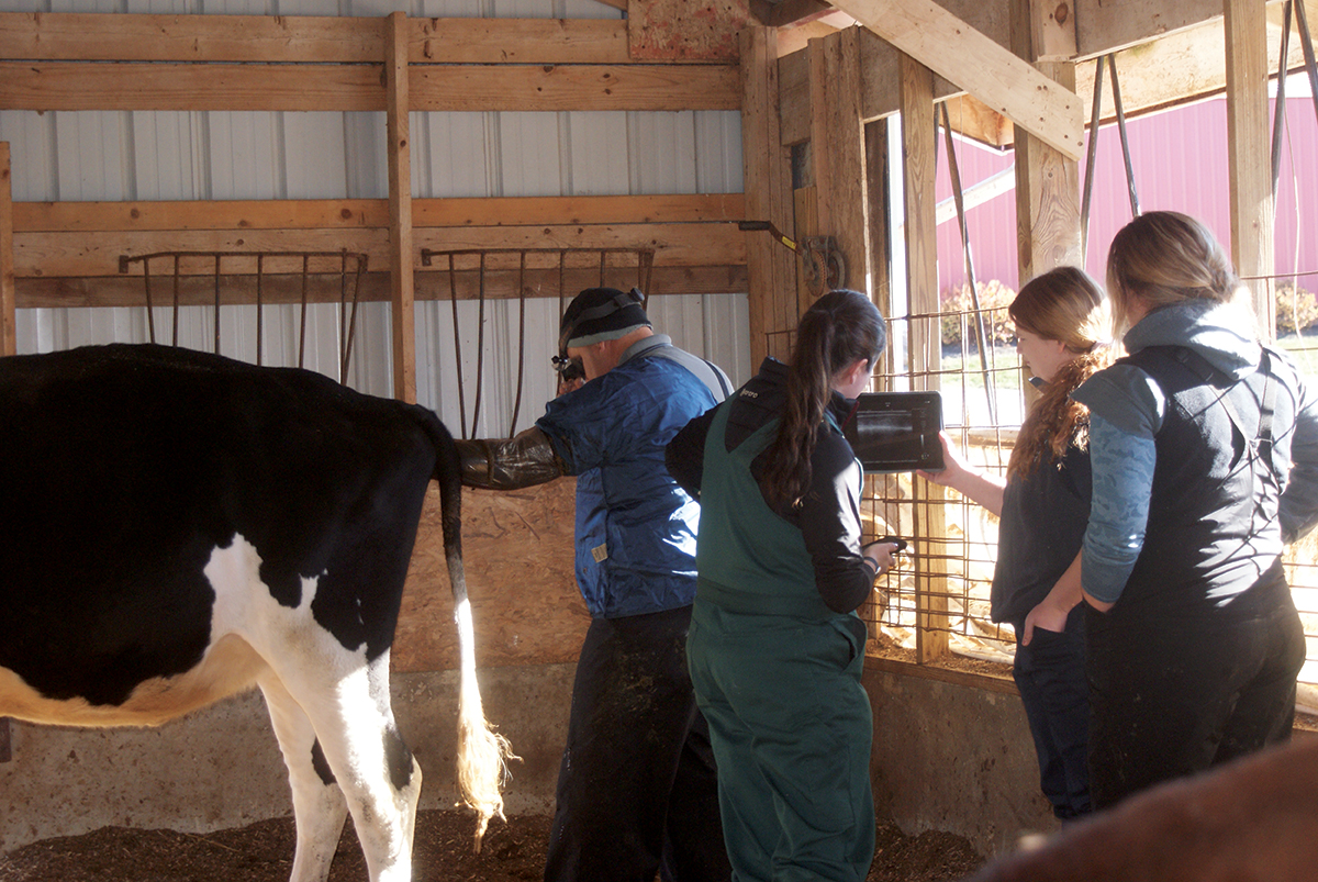 Dairy vets provide biosecurity advice to prepare farmers Farm and Dairy