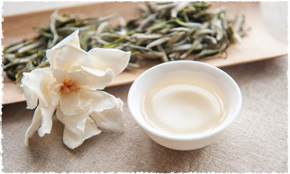 Six methods of brewing white tea teavivre